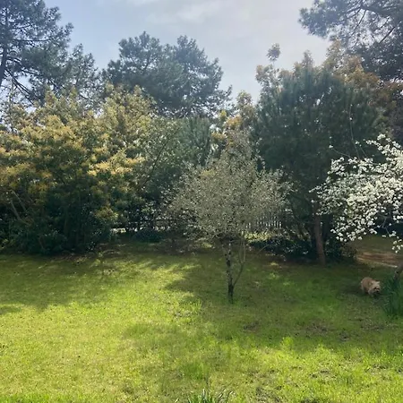 Casa de Férias Bleu Mimosa